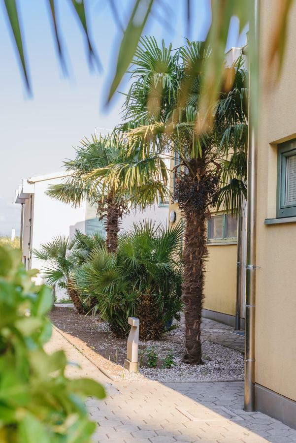 Apartament Apartma Joy - Private Beach Ankaran Zewnętrze zdjęcie